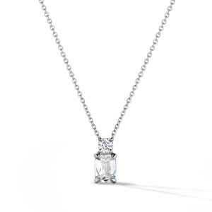 Two Stone Drop Necklace
