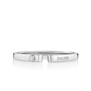 The Daussi Band