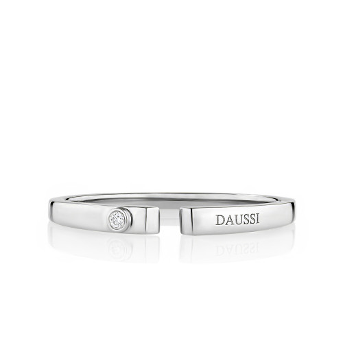 The Daussi Band