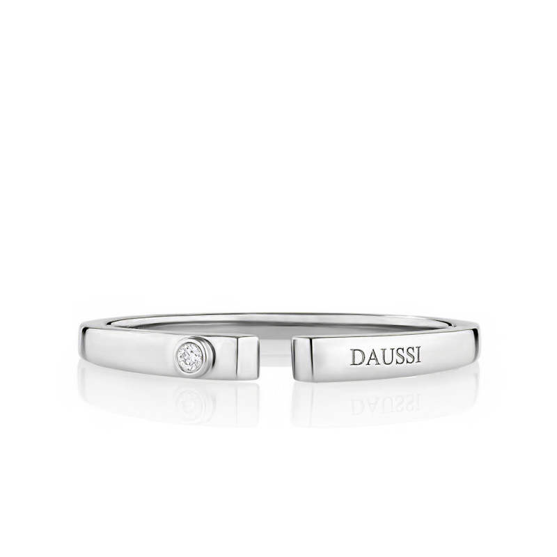 The Daussi Band